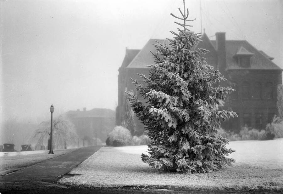 1929 photograph of Engineering Building. View of winter scene. [PG1_56-29]