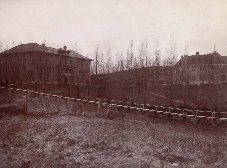 1902 photograph of Ridenbaugh Hall. View of the poplar trees and the School of Mines.[PG1_58-02]