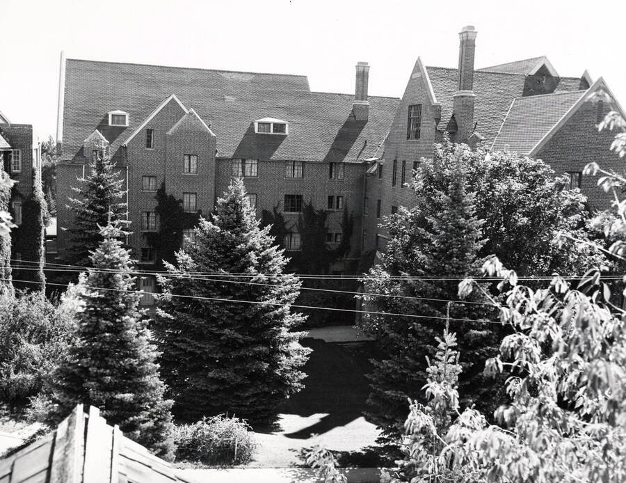 1954 photograph of Hays Hall. View from between the trees. [PG1_59-13]