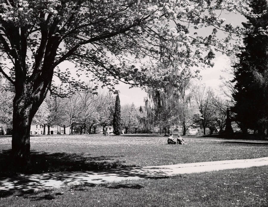 1940 photograph of University of Idaho campus scenery. Students shown sitting on the lawn. Donor: Publications Dept. [PG1_006-01]