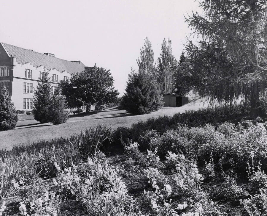 1946 photograph of University of Idaho campus scenery. View of the back of the administration and a flower bed. [PG1_006-14]