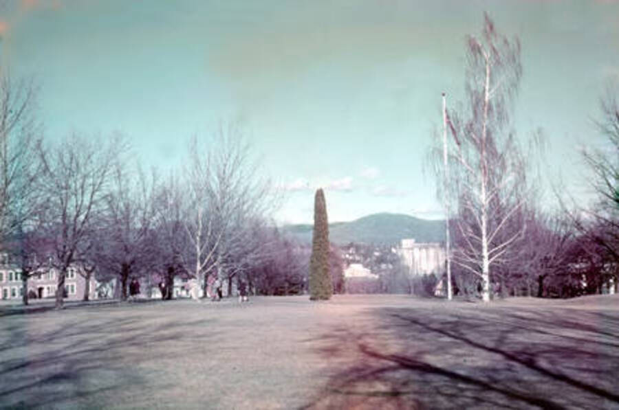 1950 photograph of University of Idaho campus scenery. [PG1_006-15b]
