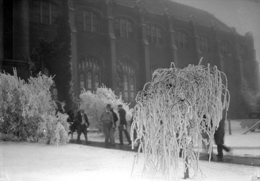 1929-01-01 photograph of University of Idaho campus scenery. View of Administration in the winter. [PG1_006-16]