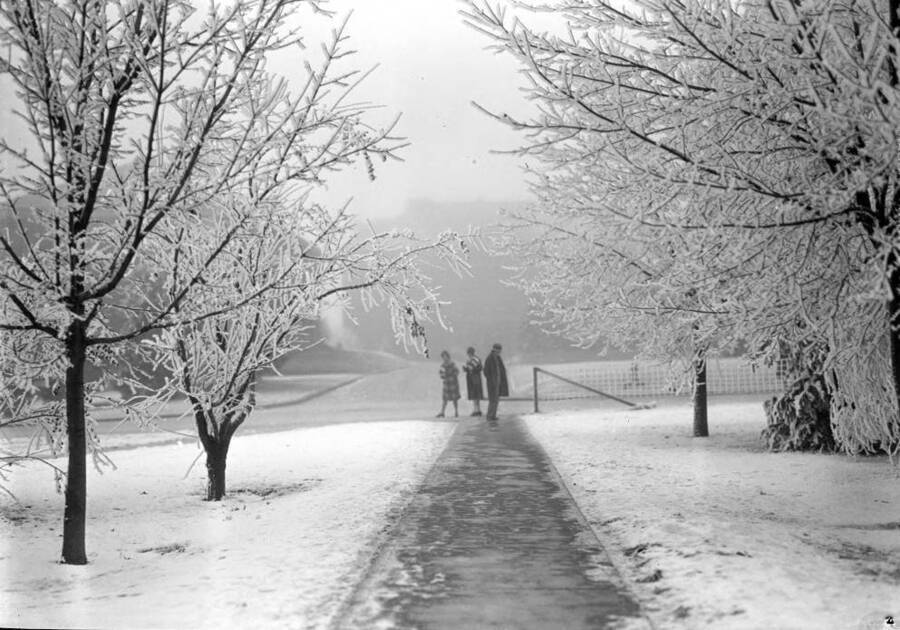 1929-01-01 photograph of University of Idaho campus scenery. Students showed walking to class in the winter. [PG1_006-17]