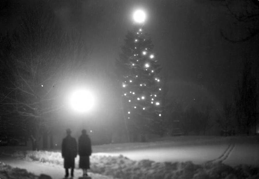 University of Idaho campuses scenery, winter scene at night. [6-20]