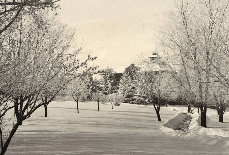 1929 photograph of University of Idaho campus scenery. View of Administration lawn in the winter. [PG1_006-25]