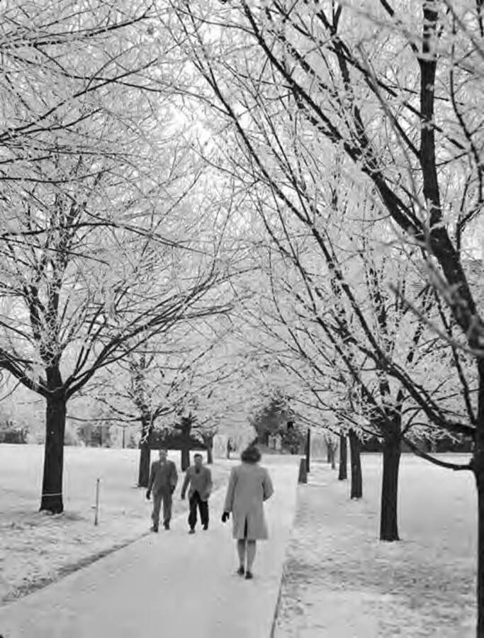 1944 photograph of University of Idaho campus scenery. View of students walking to class in the winter. [PG1_006-28]