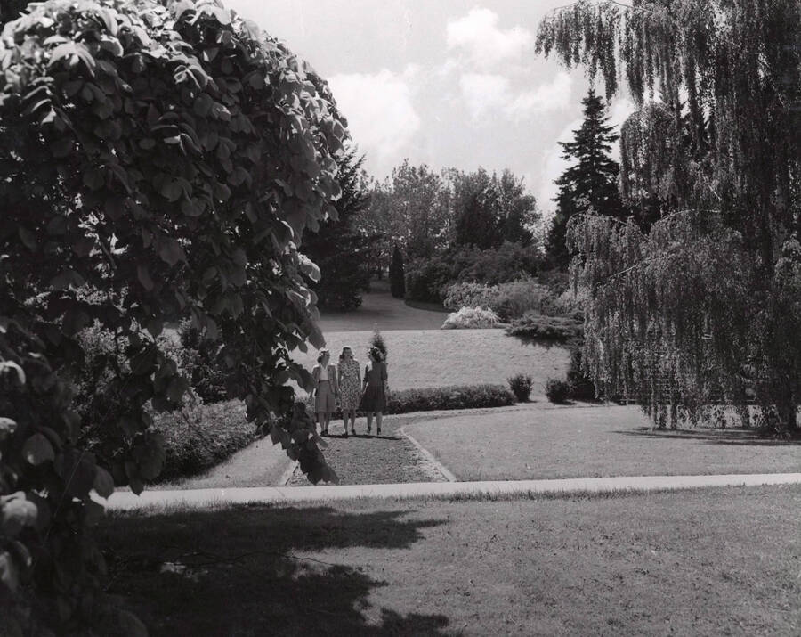 1950 photograph of University of Idaho campus scenery near Memorial Steps. Donor: Publications Dept. [PG1_006-03]