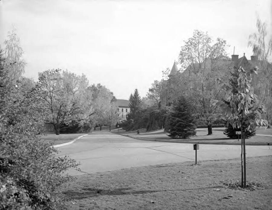 1946 photograph of University of Idaho campus scenery. View of Administration lawn. [PG1_006-30]