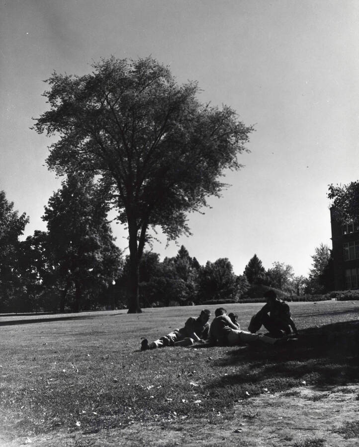 1960 photograph of University of Idaho campus scenery. Students shown sitting on the lawn. Donor: Photo Center. [PG1_006-09]