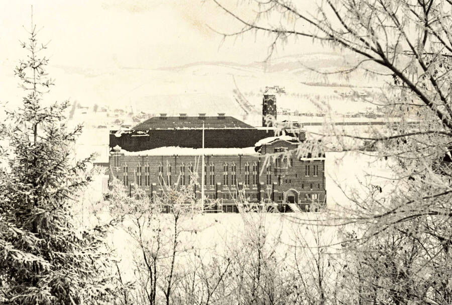 1940 photograph of Memorial Gymnasium. View framed by trees in winter. [PG1_61-45]