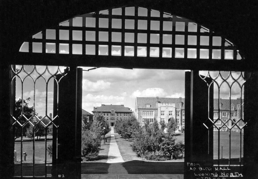 1937 photograph of Morrill Hall. View from Administration Hall looking north. [PG1_66-12]