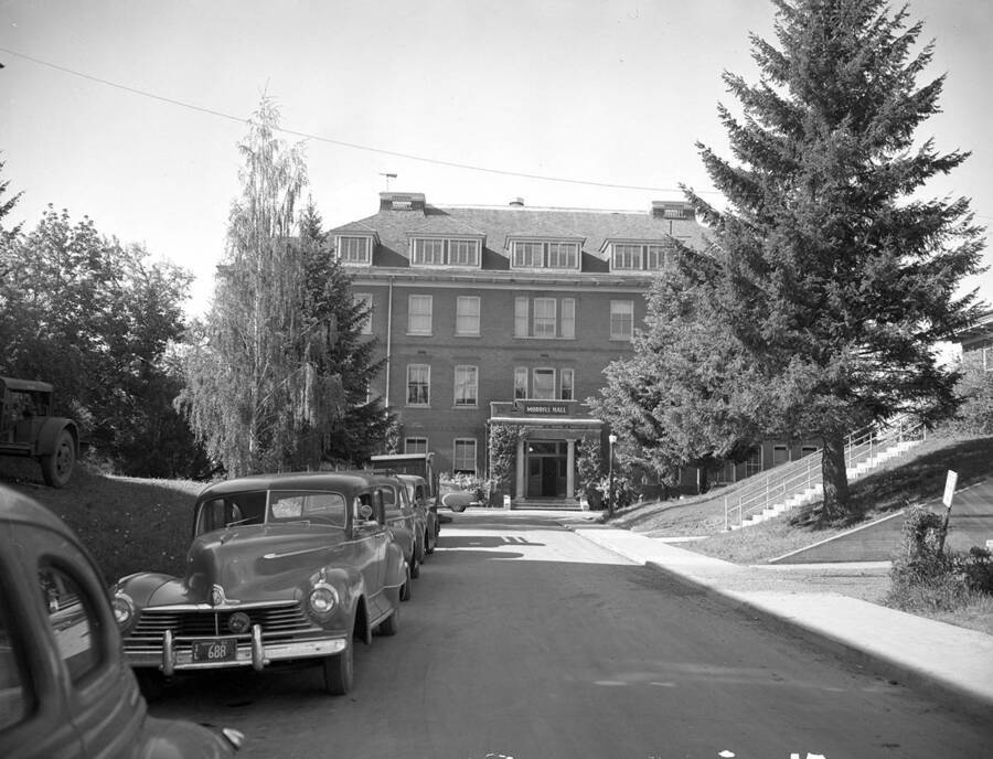 1950 photograph of Morrill Hall. View of automobiles on Pine Street. [PG1_66-16]