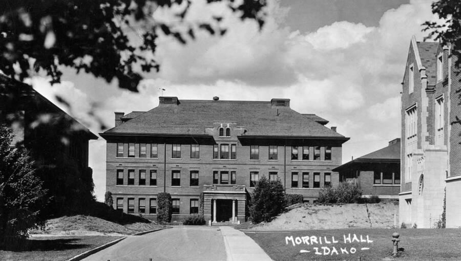 1920 photograph of Morrill Hall. View from the corner of University Avenue and Pine Street. [PG1_66-09]