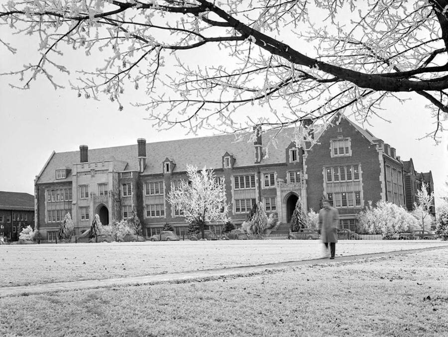 1940 photograph of Science Hall Renamed Life Sciences Building in 1964. View from between the tree in the winter. [PG1_067-50]