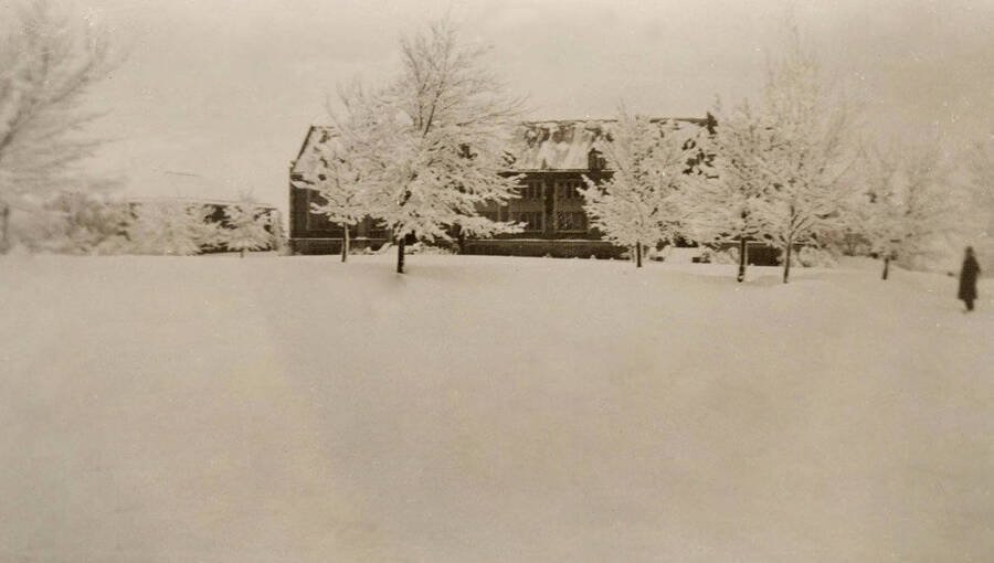 1957 photograph of Science Hall Stough Archives. Renamed Life Sciences Building in 1964. Winter scene of the trees covered with frost. [PG1_067-67]