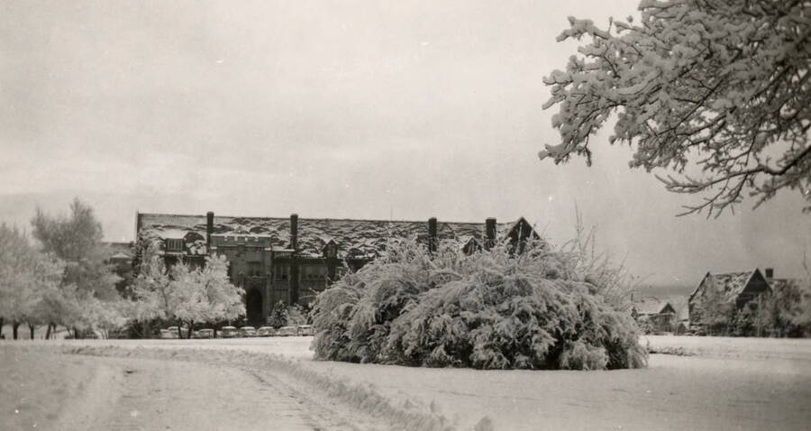 1950 photograph of Science Hall Renamed Life Sciences Building in 1964. Winter scene of the trees covered with frost. Donor: University of Idaho Press. [PG1_067-68]
