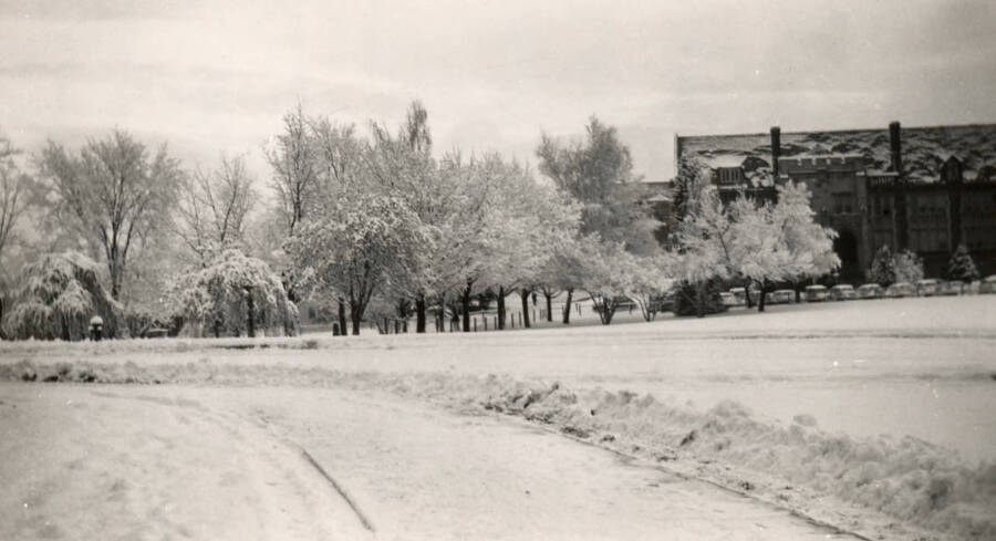 1950 photograph of Science Hall Renamed Life Sciences Building in 1964. Winter scene of the trees covered with frost. Donor: University of Idaho Press. [PG1_067-69]