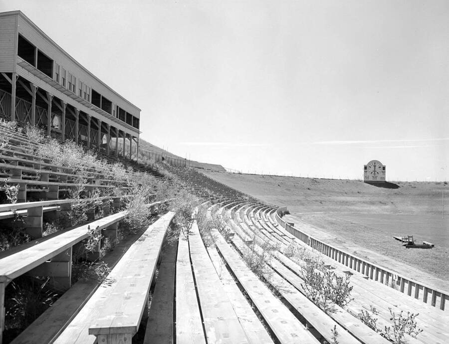 1940 photograph of Neale Stadium. Weeds grow through bleachers. [PG1_085-15]