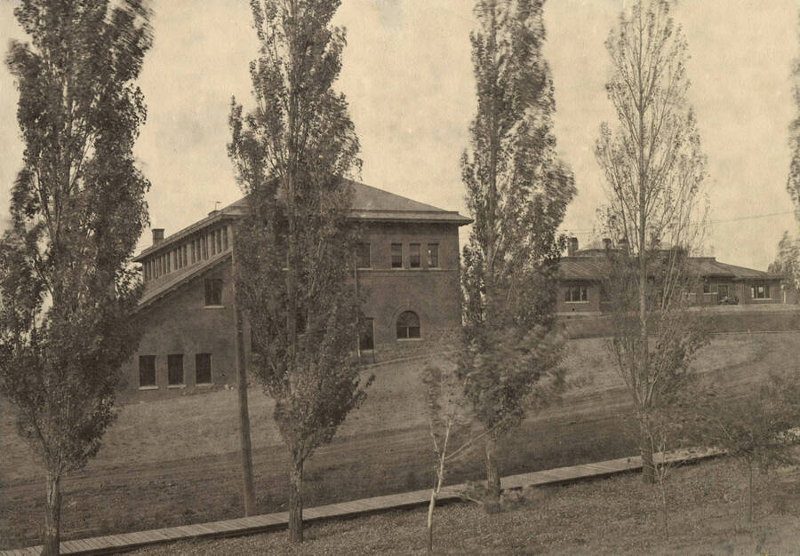 1920 photograph of Geology Building. View of the poplar trees in front. [PG1_086-01]