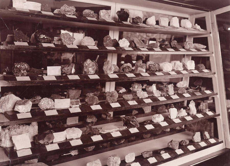 1925 photograph of Geology Building. Specimens displayed in the Geological museum. [PG1_086-08]