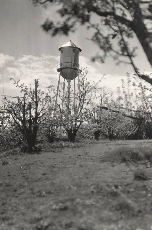 1927 photograph of I Tower. View of the flowering shrubs. [PG1_088-05]