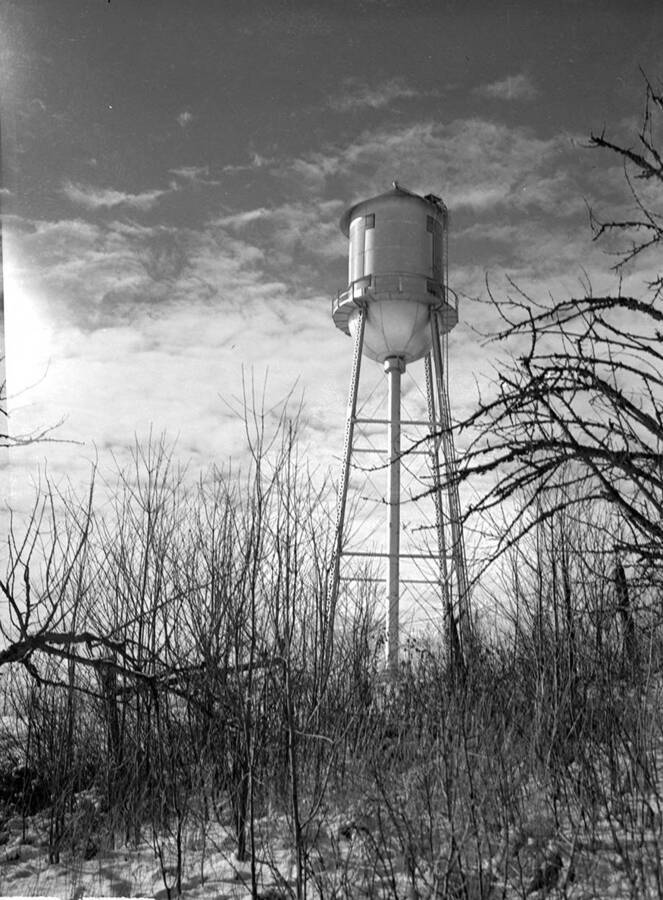 1949 photograph of I Tower. View from the street. [PG1_088-09]