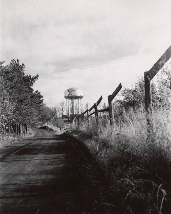 1953 photograph of I Tank. View of a fence lined road. [PG1_089-03]