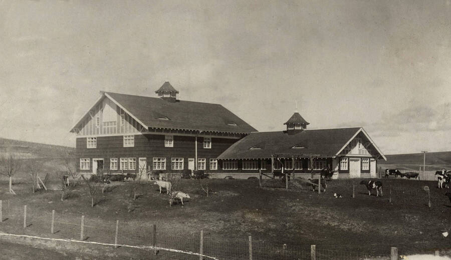 1910 photograph of Dairy Barn. [PG1_091-01]