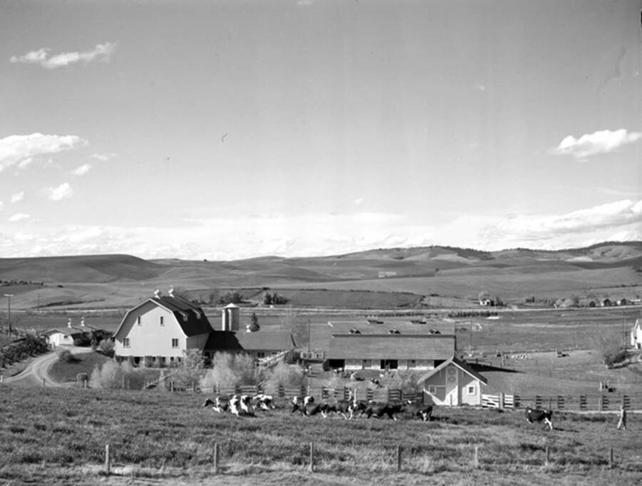 1930 photograph of Dairy Barn. View of the fields in the background. [PG1_091-10]