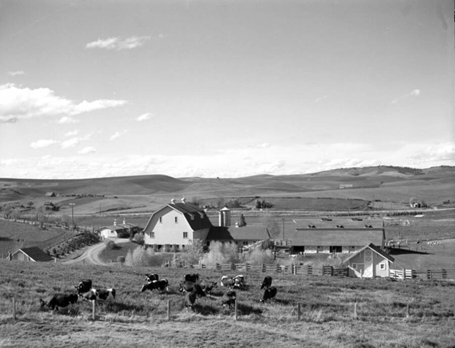 1930 photograph of Dairy Barn. View of the fields in the background. [PG1_091-11]