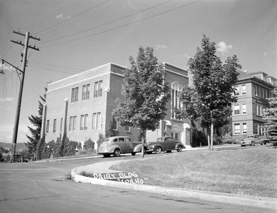1948 photograph of Dairy Science Building. View of automobiles from the corner of Idaho and Line.[PG1_092-15]