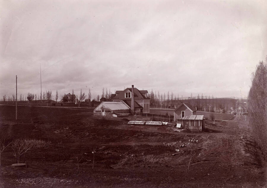 1902 photograph of Horticulture Building. Houses are visible in the background behind the row of poplar trees. Donor: W.C. Edmundson. [PG1_094-12]