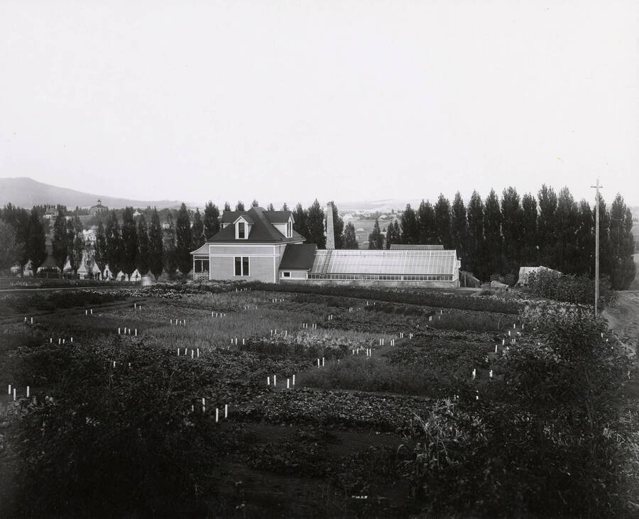 1902 photograph of Horticulture Building. View of planting plots. [PG1_094-13]