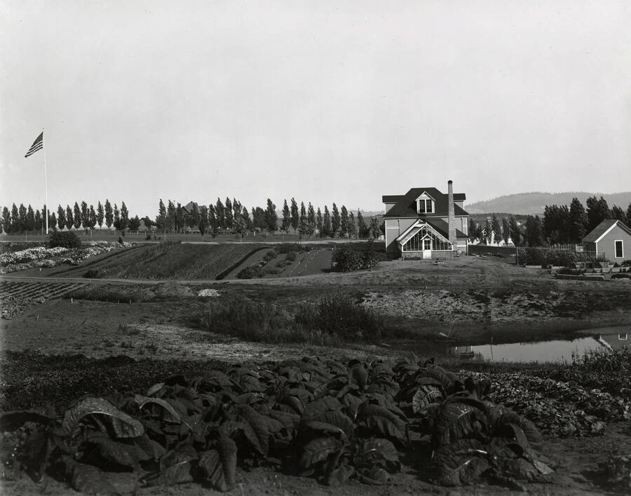 1902 photograph of Horticulture Building. View of the planting plots in the foreground and an American flag to the left. [PG1_094-14]