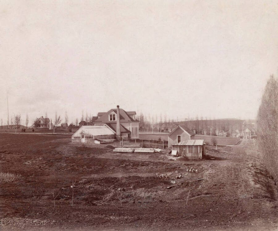 1899 photograph of Horticulture Building. Houses are visible in the background behind the row of poplar trees. [PG1_094-02]