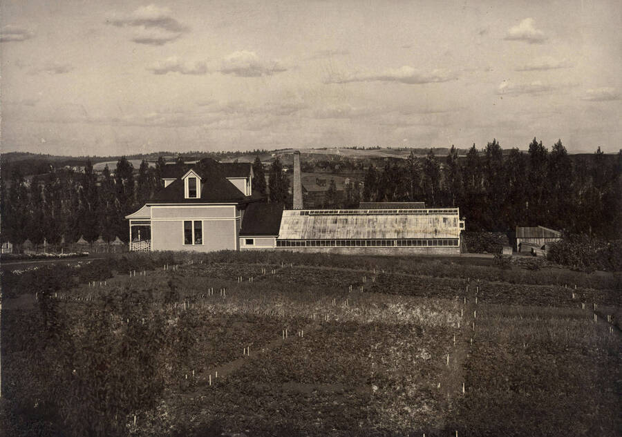 1900 photograph of Horticulture Building. View of the planting plots in the foreground and a line of poplars in the back.[PG1_094-05]