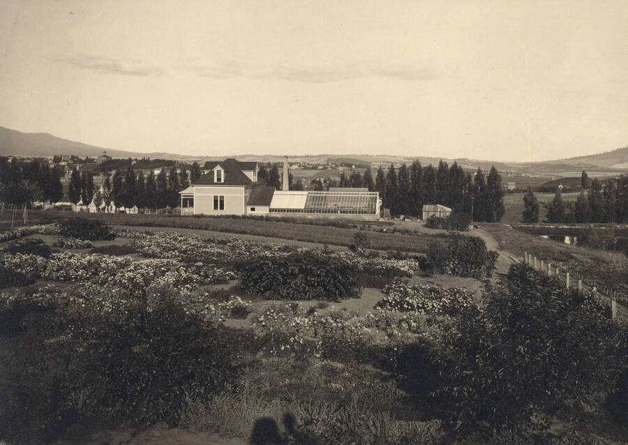 1900 photograph of Horticulture Building. View of the planting plots in the foreground and a line of poplars in the back. [PG1_094-06]