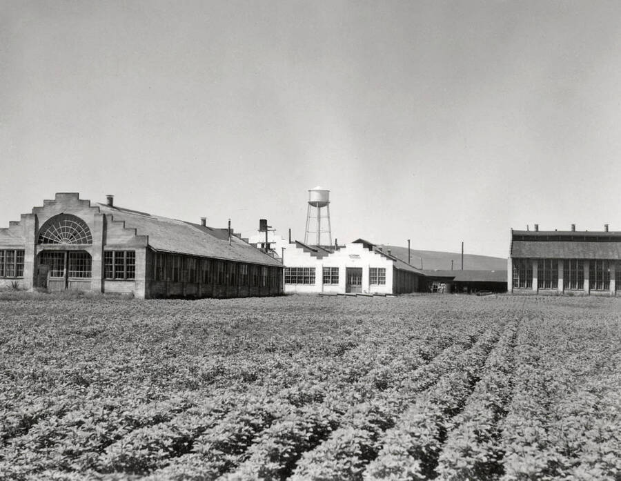 1936 photograph of the Engineering laboratories. Fields in the foreground. [PG1_096-05]