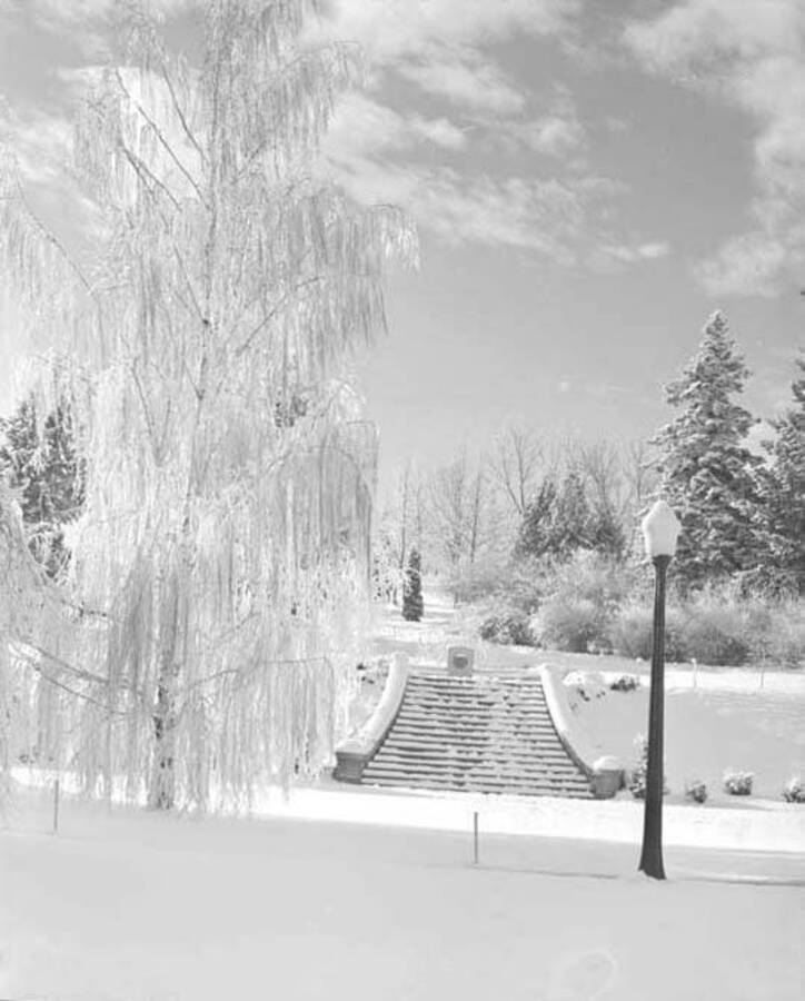 Memorial Steps, University of Idaho. Winter scene. [97-15]