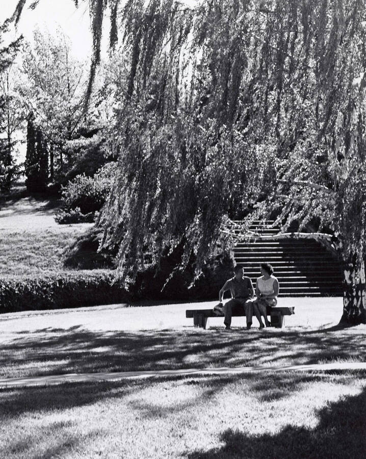 1950 photograph of Memorial Steps. Two students on a bench to the right. [PG1_097-03]