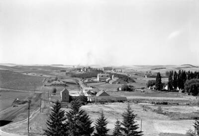 1933 panoramic photograph of University farms. The view is looking south the back side of the greenhouses in the center of photo.