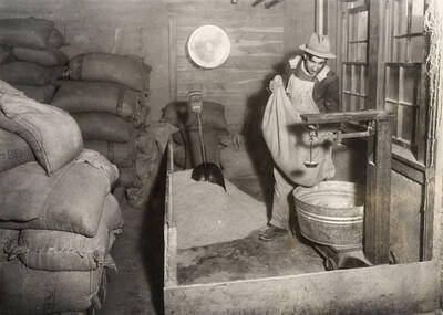 1930 photograph of University Farms. A student is shown measuring feed.