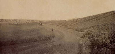 1925 photograph of University Farms. Moscow in background. Donor: W.C. Edmundson.