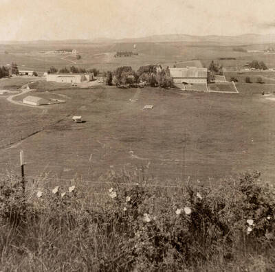 1921 photograph of University Farms. Farmhouse in background. Donor: Publications Dept..