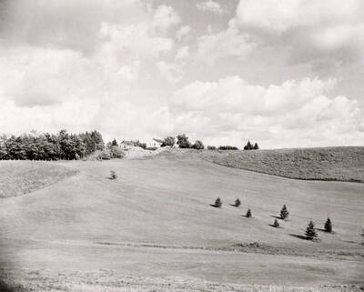 1950 photograph of the Golf Course. Houses in background.