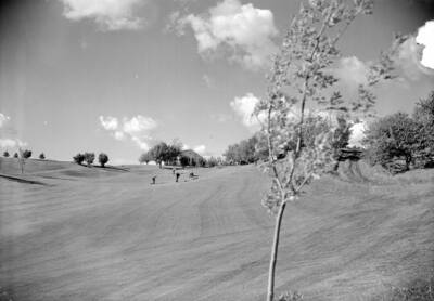 1950 photograph of the Golf Course. Players in background.
