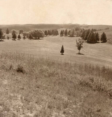 1938 photograph of the Golf Course. Trees in background.