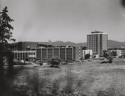 1970 photograph of the Wallace Residence Center. Theophilus Tower in background.