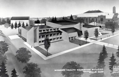 1969 illustration of the Physical Education Building. Architect's rendering. Donor: Photo Center.
